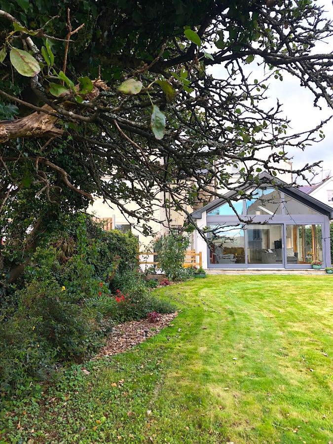 Bed and Breakfast Dingle Garden Townhouse Exterior foto The garden of the house